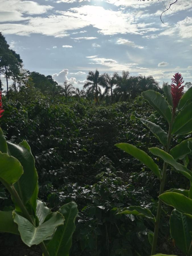 Praga Hotel Campestre 亚美尼亚 外观 照片