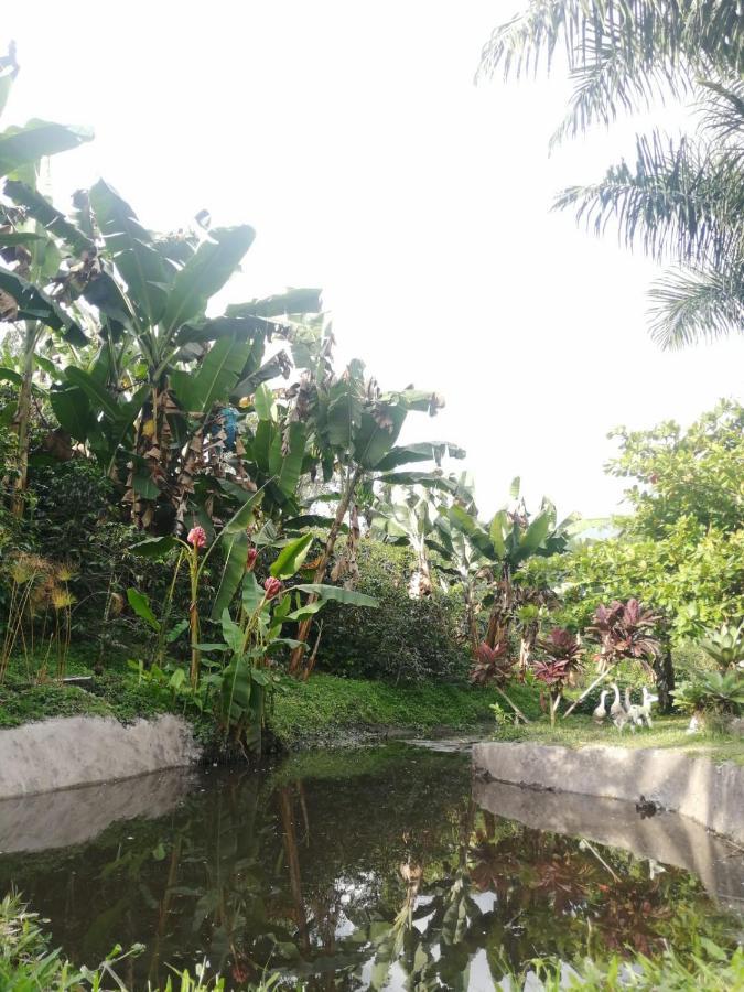 Praga Hotel Campestre 亚美尼亚 外观 照片
